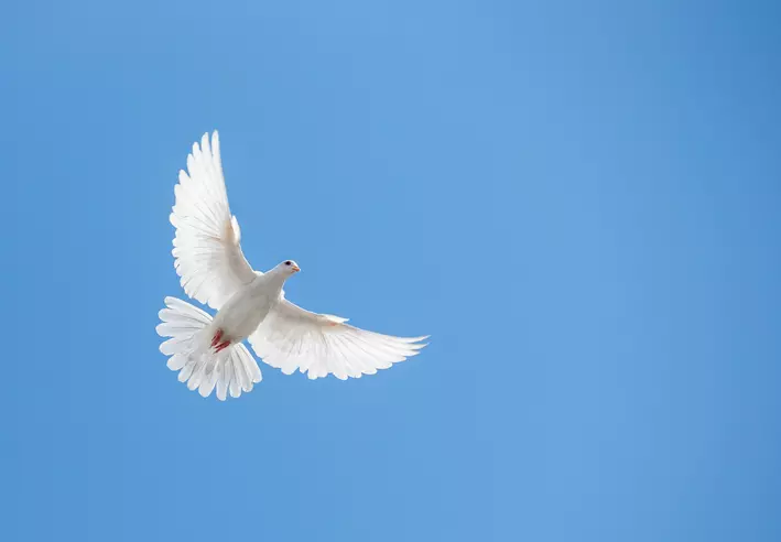 Un conflit ? Ce n'est pas un problème en soi. Ne pas le comprendre et ne pas agir, si.