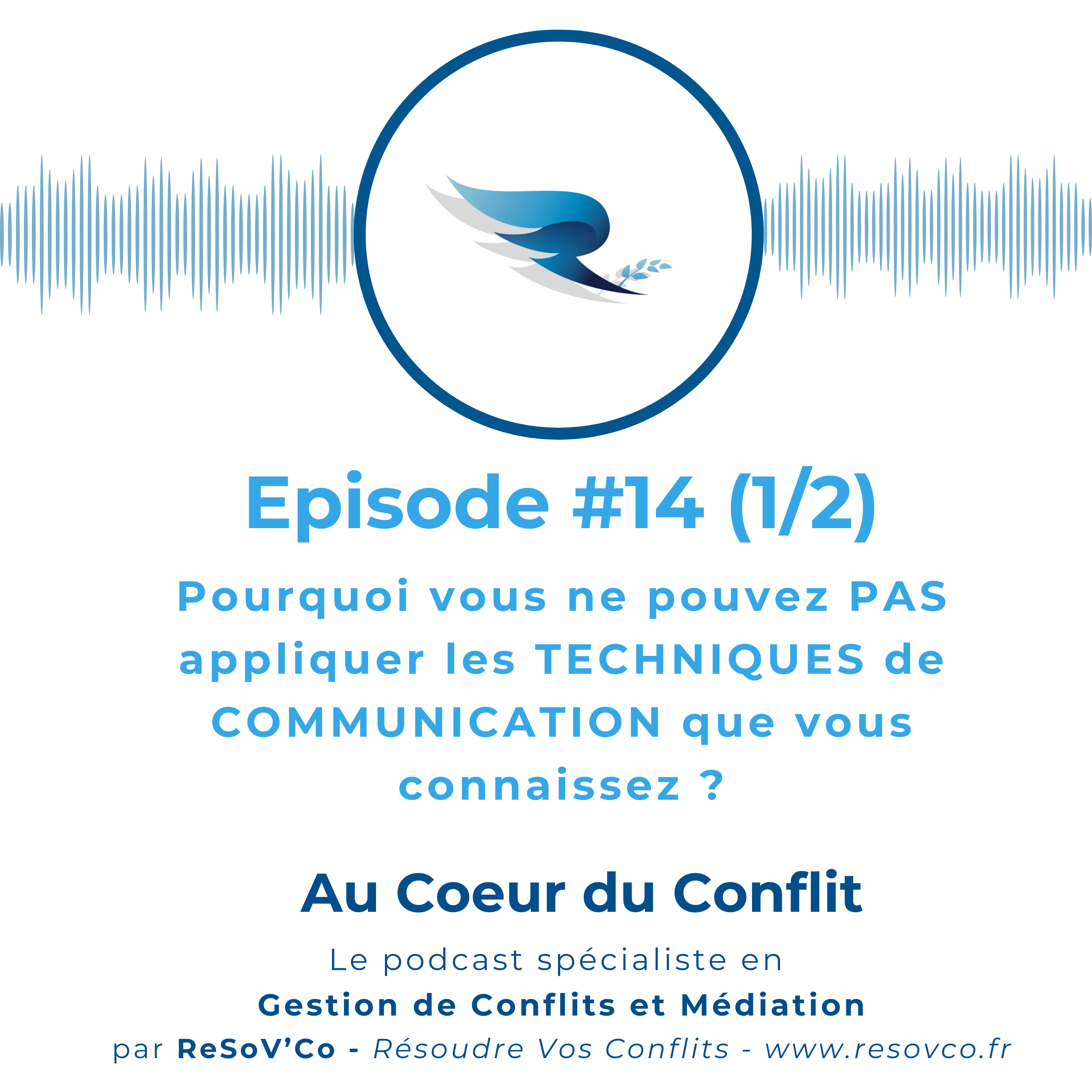 14. POURQUOI vos techniques de COMMUNICATION ne marchent jamais ?(1/2)
