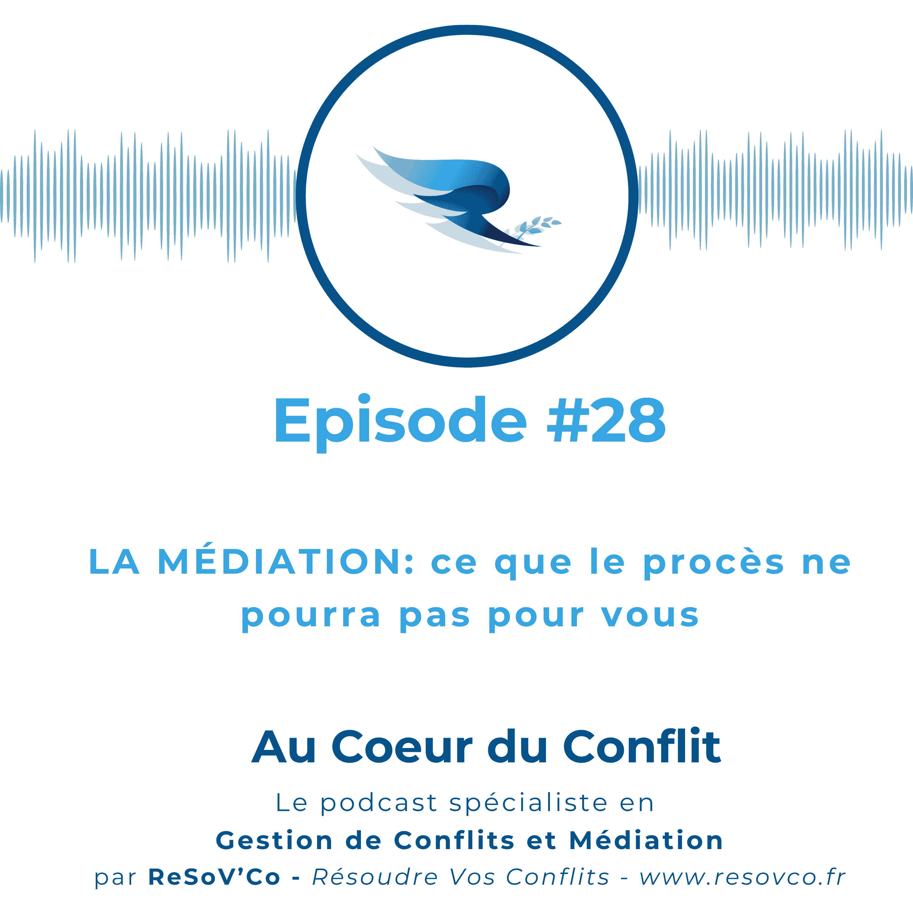 28. MÉDIATION : ce que le PROCÈS NE PEUT PAS pour vous