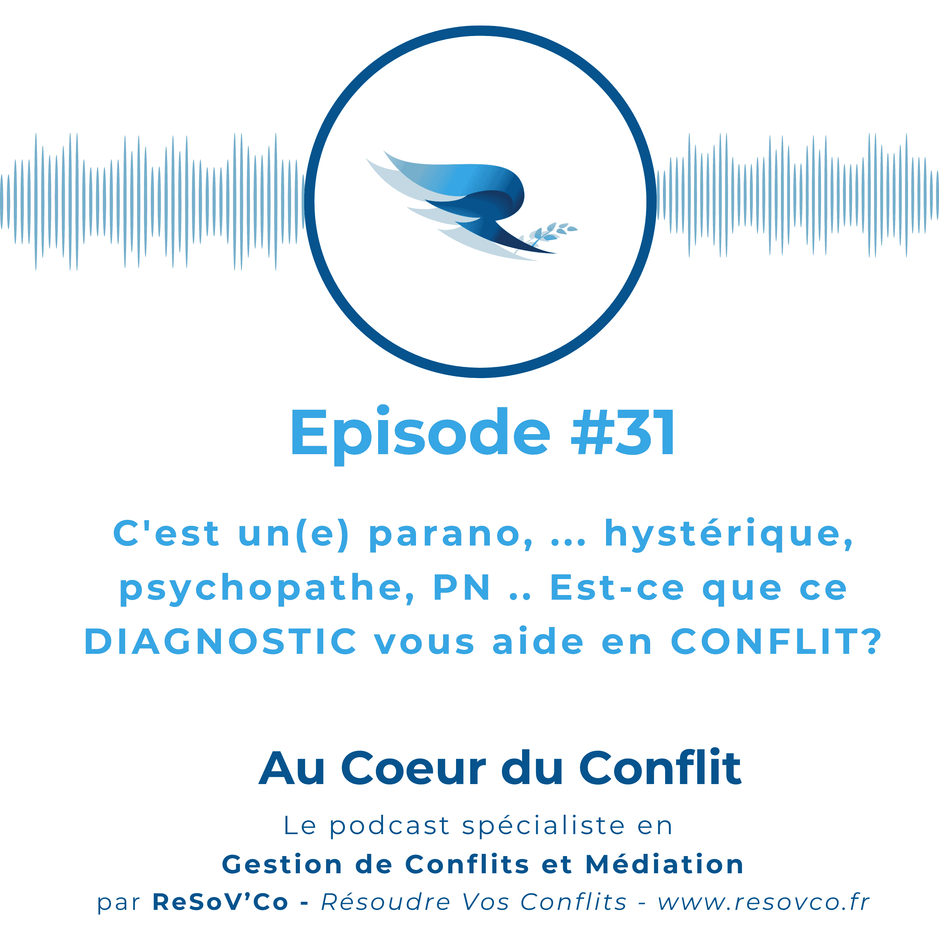 31. C'est un(e) parano, hystérique, psychopathe, PN .. ça vous aide ?