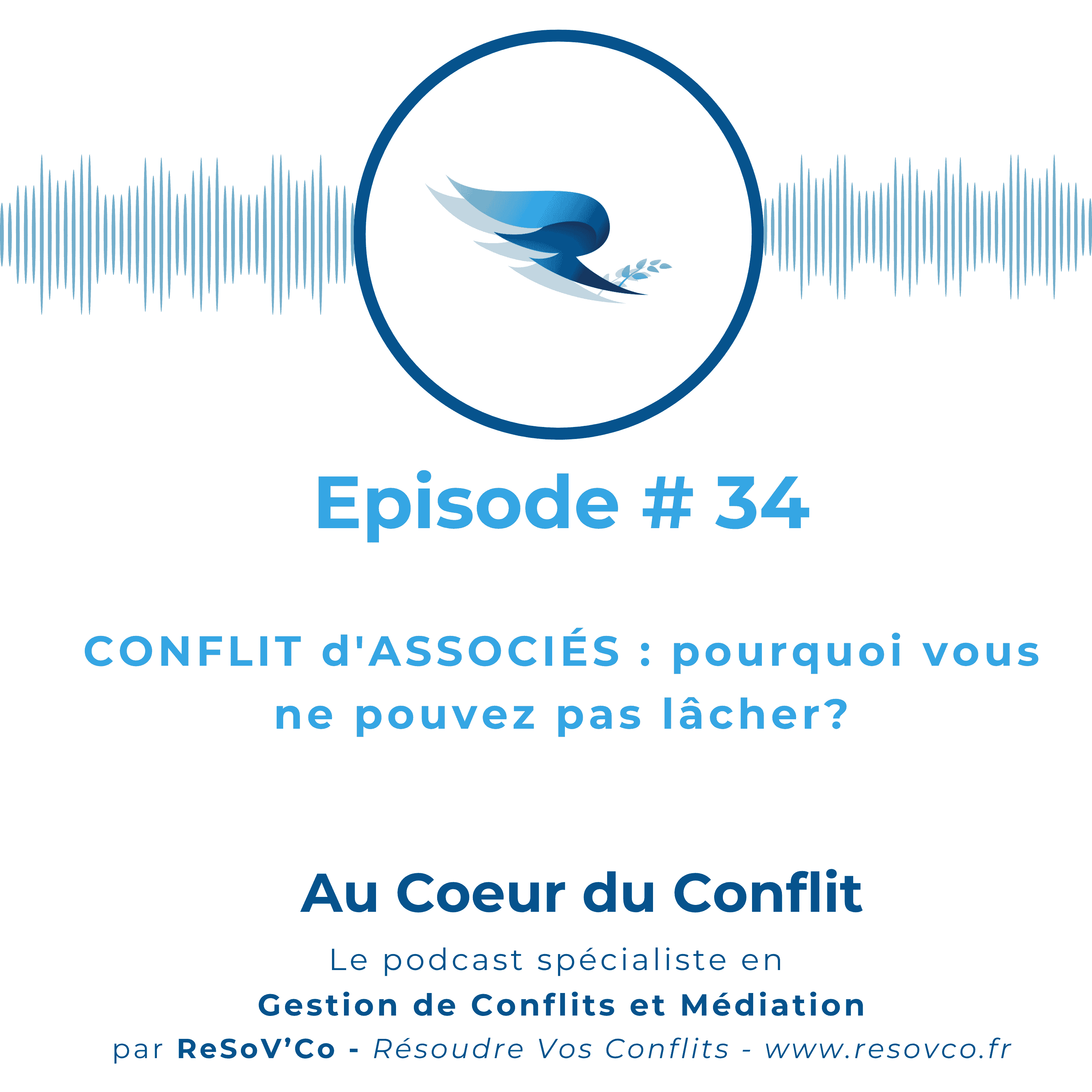 34. CONFLIT d'ASSOCIÉS : pourquoi vous ne pouvez pas lâcher ?