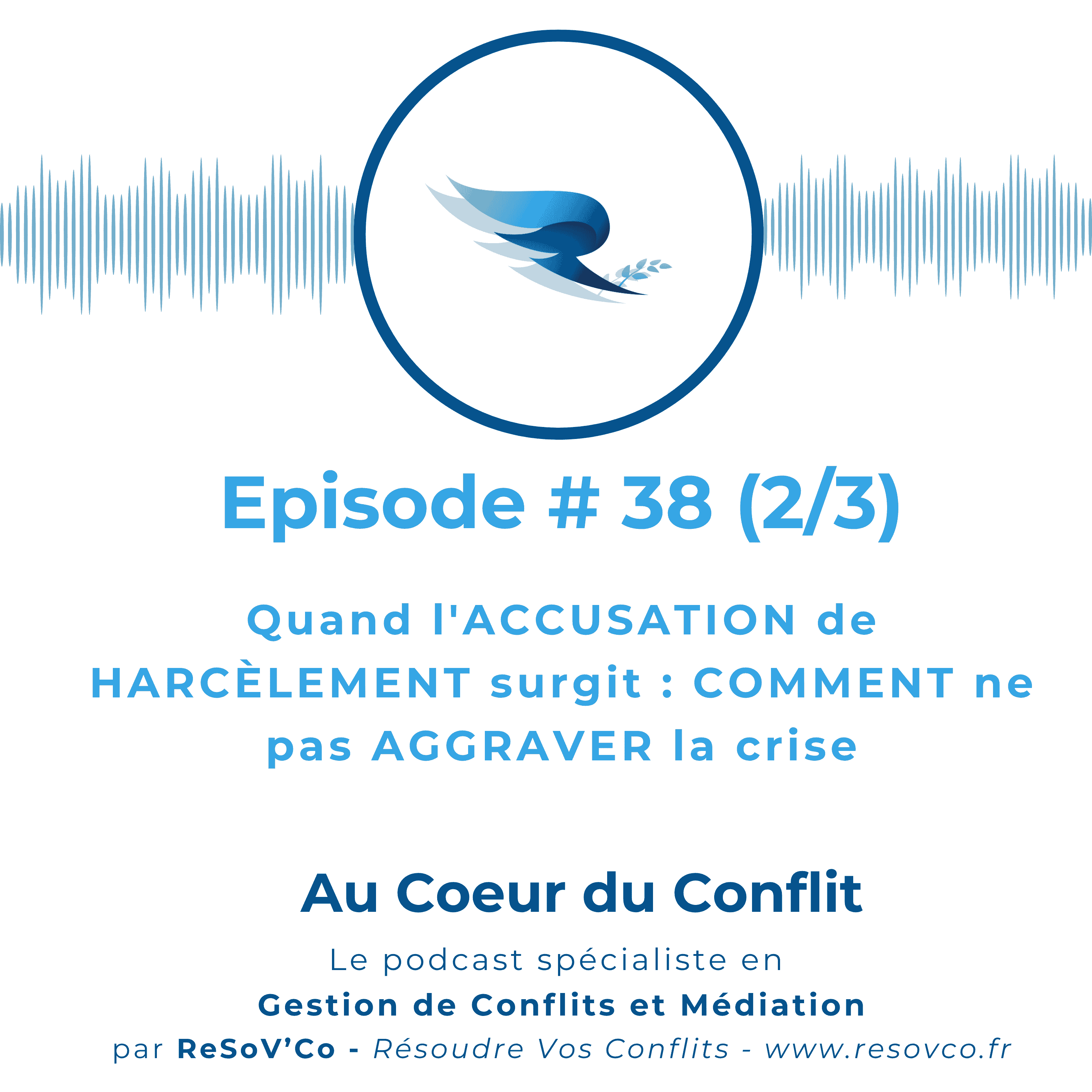 38. L'ACCUSATION de HARCÈLEMENT surgit : ne pas aggraver la crise