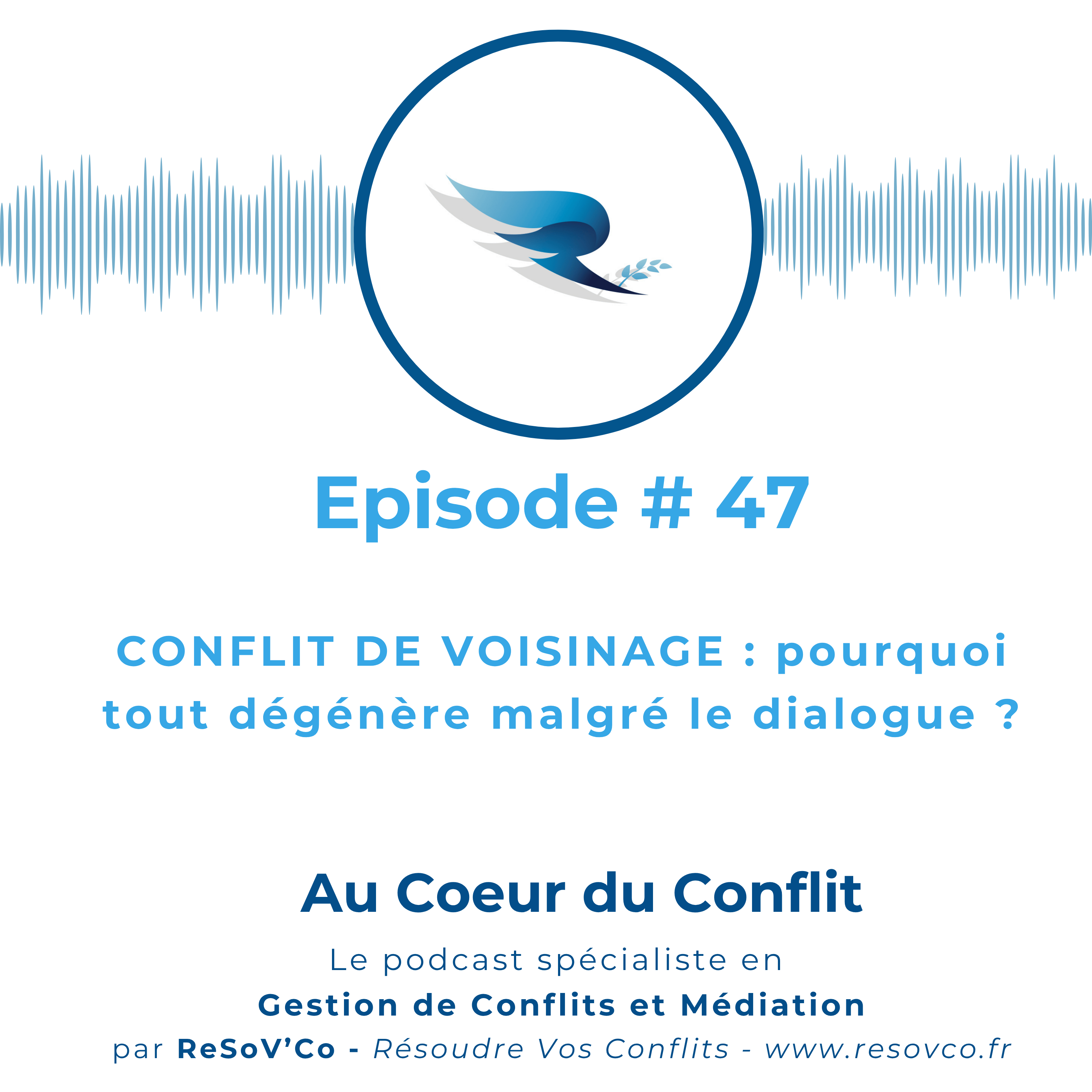 47. CONFLIT DE VOISINAGE : pourquoi tout dégénère malgré le dialogue ?